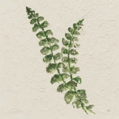 Kozo Fern III by Chris Paschke. SKU 95416a. Archival Giclee Fine art print for wall decor.