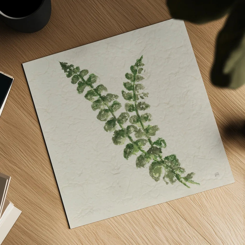 Kozo Fern III by Chris Paschke. Shown as a detailed flat fine art print, highlighting archival giclee quality. Available as an archival giclee rolled canvas, fine art paper, or poster print. SKU 95416a.