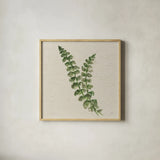 Kozo Fern III by Chris Paschke. Shown in a natural wood glass frame for a timeless modern aesthetic. Available as an archival giclee rolled canvas, fine art paper, or poster print. SKU 95416a.