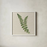 Kozo Fern III by Chris Paschke. Shown in a crisp white glass frame for a clean and minimalist style. Available as an archival giclee rolled canvas, fine art paper, or poster print. SKU 95416a.
