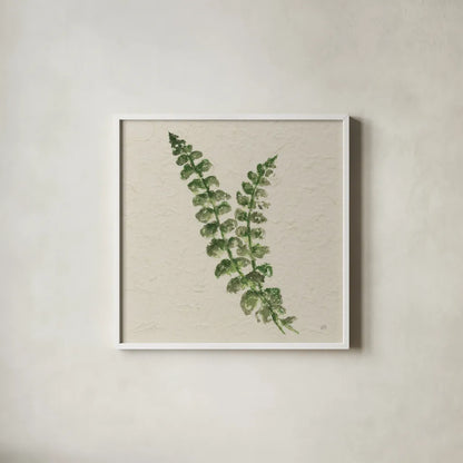 Kozo Fern III by Chris Paschke. Shown in a crisp white glass frame for a clean and minimalist style. Available as an archival giclee rolled canvas, fine art paper, or poster print. SKU 95416a.