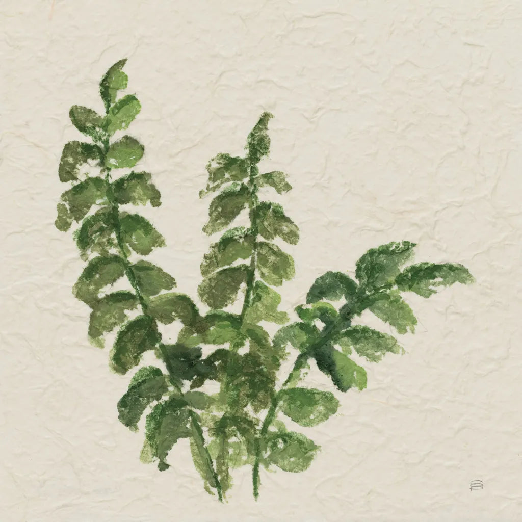 Kozo Fern IV by Chris Paschke. SKU 95417a. Archival Giclee Fine art print for wall decor.