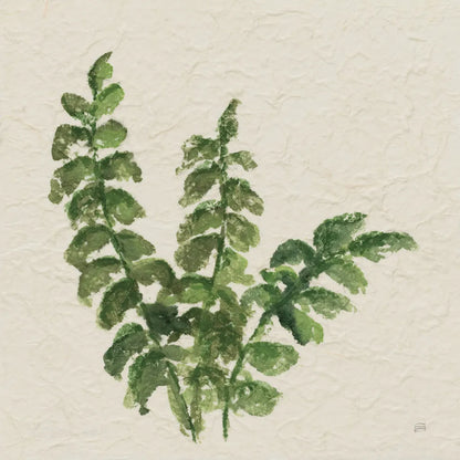 Kozo Fern IV by Chris Paschke. SKU 95417a. Archival Giclee Fine art print for wall decor.