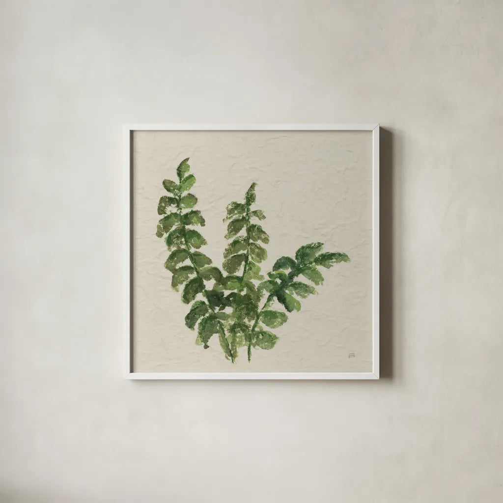 Kozo Fern IV by Chris Paschke. Shown in a crisp white glass frame for a clean and minimalist style. Available as an archival giclee rolled canvas, fine art paper, or poster print. SKU 95417a.