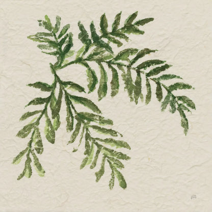 Kozo Fern V by Chris Paschke. SKU 95418a. Archival Giclee Fine art print for wall decor.