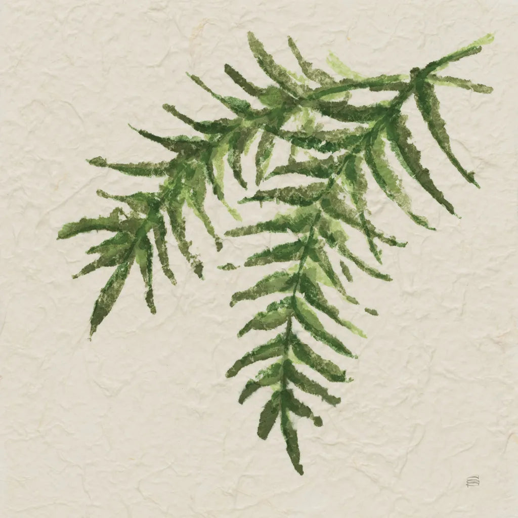 Kozo Fern VI by Chris Paschke. SKU 95419a. Archival Giclee Fine art print for wall decor.