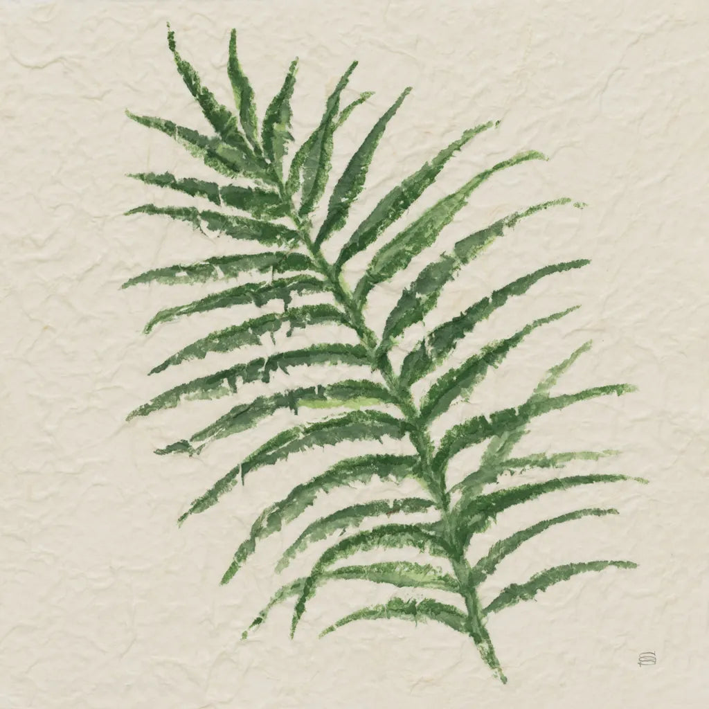 Kozo Fern VII by Chris Paschke. SKU 95420a. Archival Giclee Fine art print for wall decor.