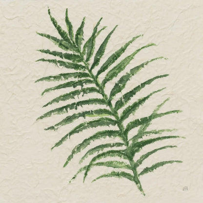 Kozo Fern VII by Chris Paschke. SKU 95420a. Archival Giclee Fine art print for wall decor.