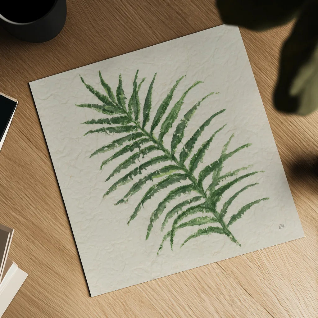 Kozo Fern VII by Chris Paschke. Shown as a detailed flat fine art print, highlighting archival giclee quality. Available as an archival giclee rolled canvas, fine art paper, or poster print. SKU 95420a.