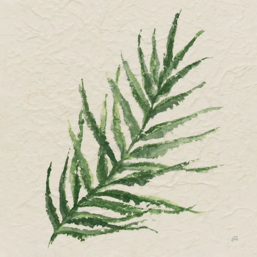 Kozo Fern VIII by Chris Paschke. SKU 95421a. Archival Giclee Fine art print for wall decor.