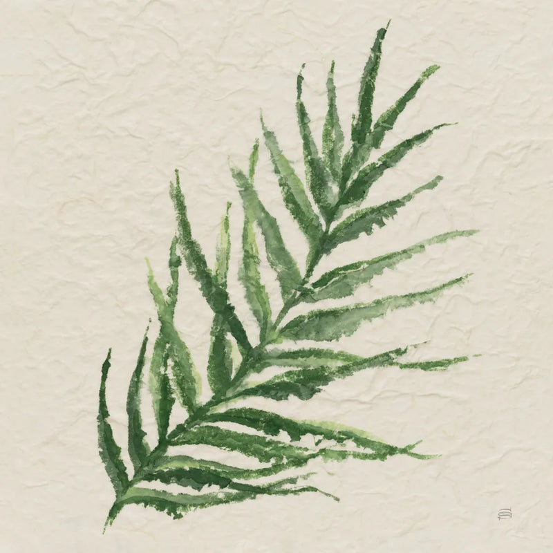 Kozo Fern VIII by Chris Paschke. SKU 95421a. Archival Giclee Fine art print for wall decor.
