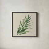 Kozo Fern VIII by Chris Paschke. Shown in a sleek black glass frame for a contemporary gallery look. Available as an archival giclee rolled canvas, fine art paper, or poster print. SKU 95421a.