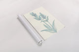 Lambs Ear Sage I by Chris Paschke. shown as a rolled paper print. Available as archival giclee rolled canvas, fine art paper, or poster print. SKU 55067h.