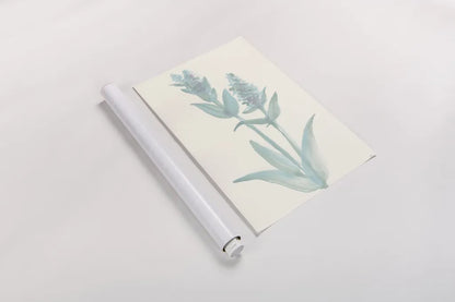 Lambs Ear Sage I by Chris Paschke. shown as a rolled paper print. Available as archival giclee rolled canvas, fine art paper, or poster print. SKU 55067h.