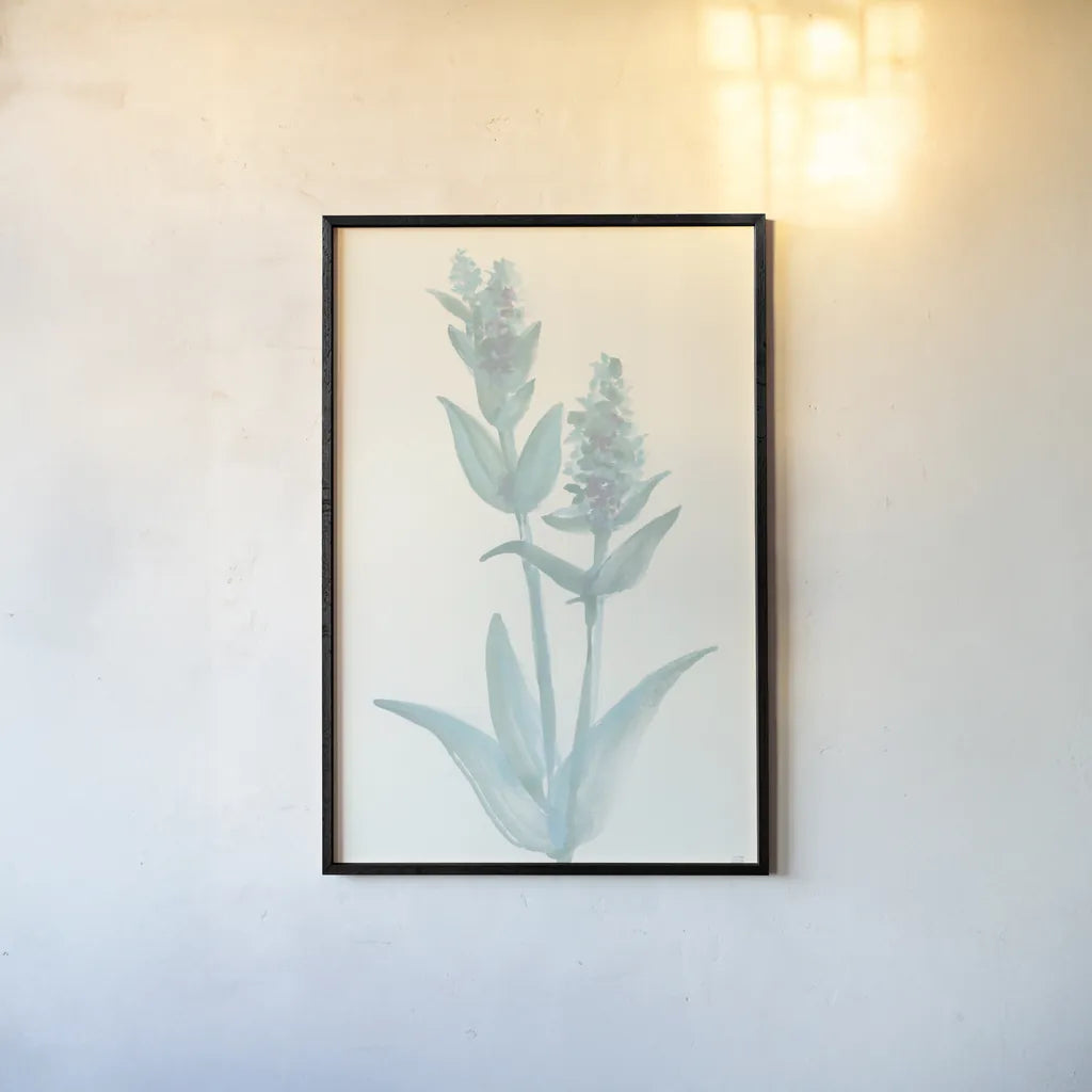 Lambs Ear Sage I by Chris Paschke. shown as a paper print in a black flame. Available as a archival giclee rolled canvas, fine art paper, or poster print. SKU 55067h.