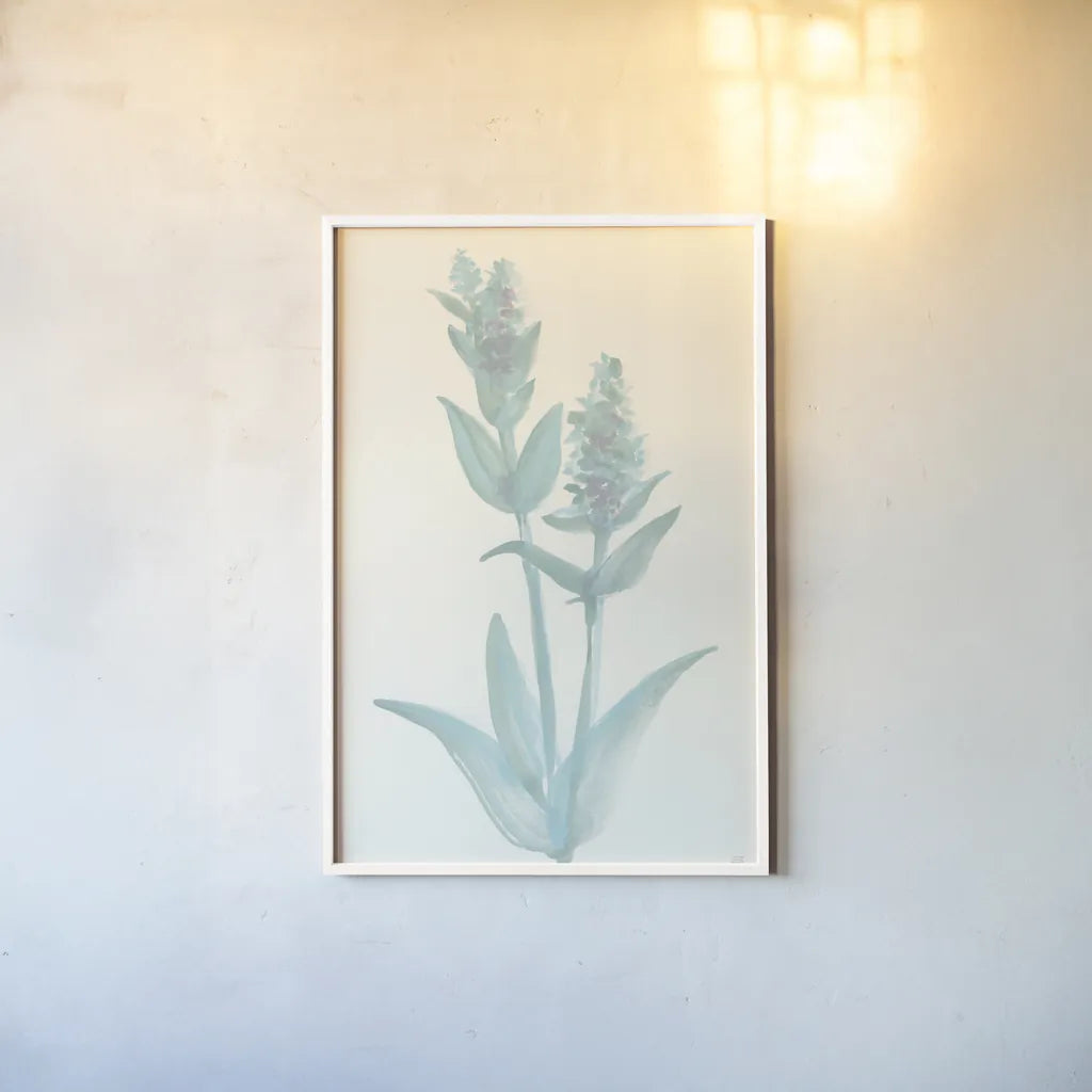 Lambs Ear Sage I by Chris Paschke. shown as a paper print in a white frame. Available as a archival giclee rolled canvas, fine art paper, or poster print. SKU 55067h.