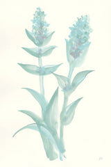 Lambs Ear Sage II by Chris Paschke. SKU 55068h. Archival Giclee Fine art print for wall decor.