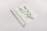 Lambs Ear Sage II by Chris Paschke. shown as a rolled paper print. Available as archival giclee rolled canvas, fine art paper, or poster print. SKU 55068h.