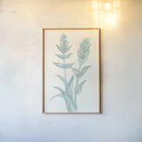 Lambs Ear Sage II by Chris Paschke. shown as a paper print in a natural frame. Available as a archival giclee rolled canvas, fine art paper, or poster print. SKU 55068h.