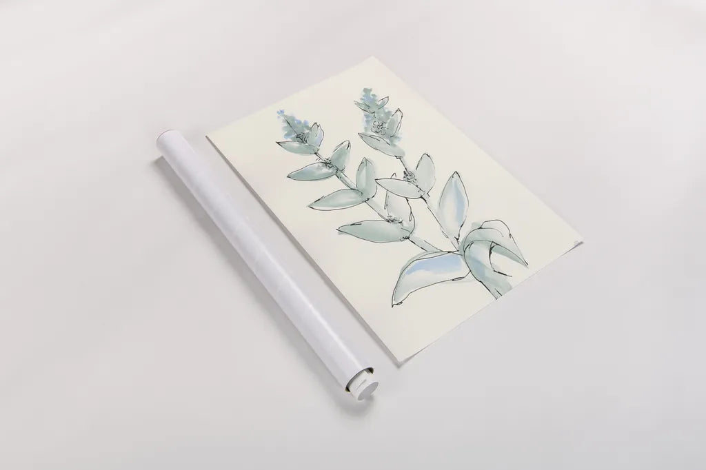 Lambs Ear Sage III by Chris Paschke. shown as a rolled paper print. Available as archival giclee rolled canvas, fine art paper, or poster print. SKU 55069h.