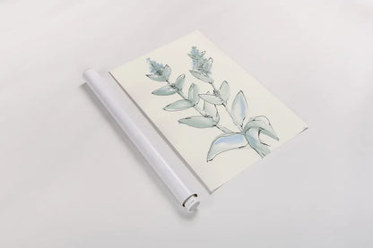 Lambs Ear Sage III by Chris Paschke. shown as a rolled paper print. Available as archival giclee rolled canvas, fine art paper, or poster print. SKU 55069h.