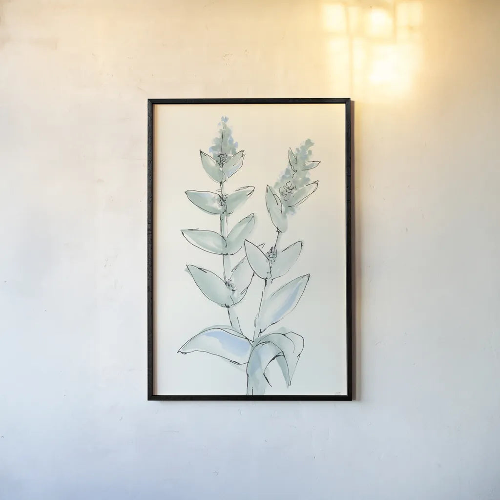 Lambs Ear Sage III by Chris Paschke. shown as a paper print in a black flame. Available as a archival giclee rolled canvas, fine art paper, or poster print. SKU 55069h.
