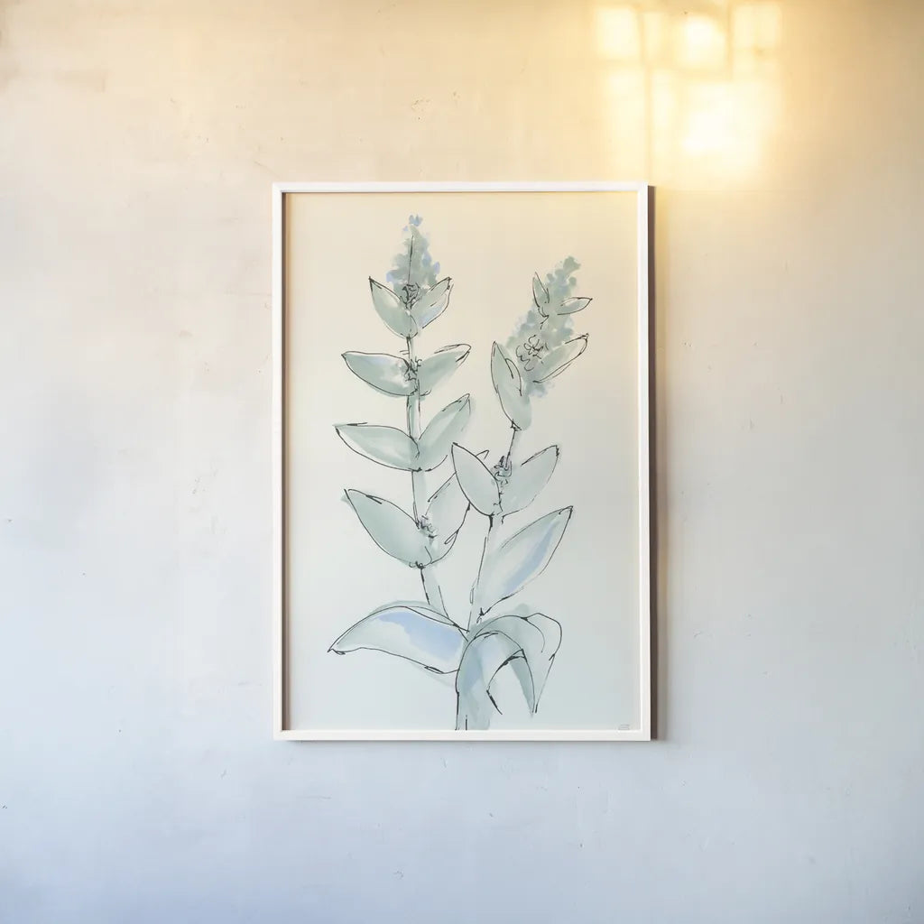 Lambs Ear Sage III by Chris Paschke. shown as a paper print in a white frame. Available as a archival giclee rolled canvas, fine art paper, or poster print. SKU 55069h.