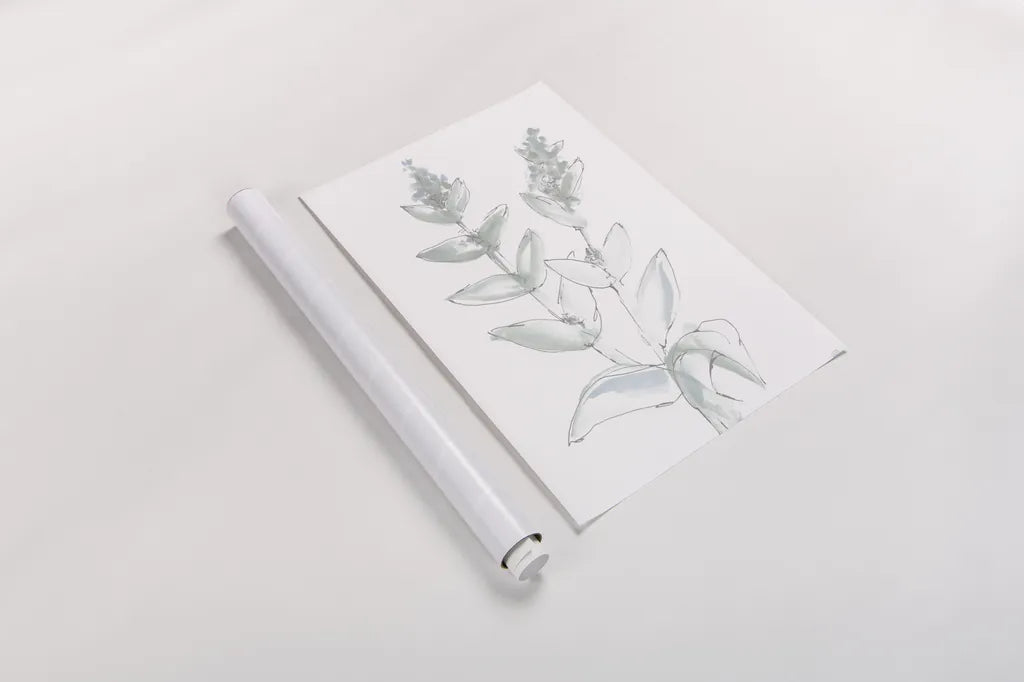 Lambs Ear Sage III Bleached by Chris Paschke. shown as a rolled paper print. Available as archival giclee rolled canvas, fine art paper, or poster print. SKU 60294h.