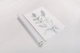 Lambs Ear Sage III Bleached by Chris Paschke. shown as a rolled paper print. Available as archival giclee rolled canvas, fine art paper, or poster print. SKU 60294h.