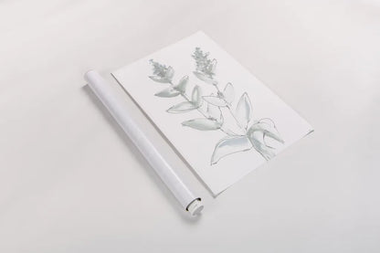 Lambs Ear Sage III Bleached by Chris Paschke. shown as a rolled paper print. Available as archival giclee rolled canvas, fine art paper, or poster print. SKU 60294h.