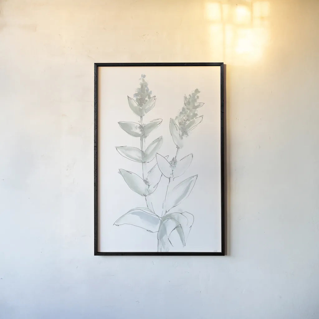Lambs Ear Sage III Bleached by Chris Paschke. shown as a paper print in a black flame. Available as a archival giclee rolled canvas, fine art paper, or poster print. SKU 60294h.