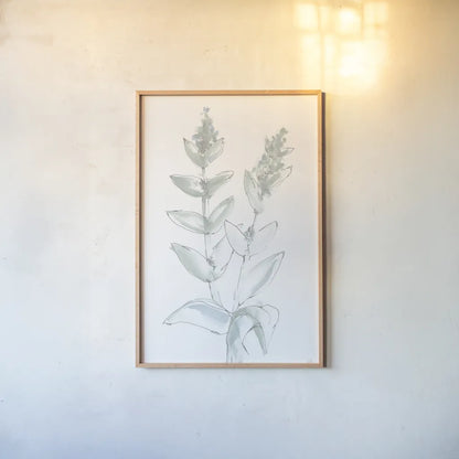Lambs Ear Sage III Bleached by Chris Paschke. shown as a paper print in a natural frame. Available as a archival giclee rolled canvas, fine art paper, or poster print. SKU 60294h.