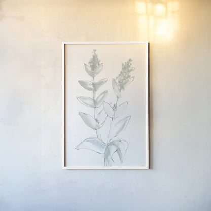 Lambs Ear Sage III Bleached by Chris Paschke. shown as a paper print in a white frame. Available as a archival giclee rolled canvas, fine art paper, or poster print. SKU 60294h.