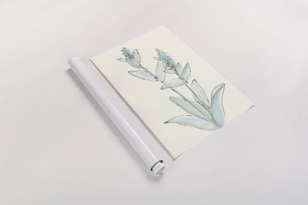 Lambs Ear Sage IV by Chris Paschke. shown as a rolled paper print. Available as archival giclee rolled canvas, fine art paper, or poster print. SKU 55070h.