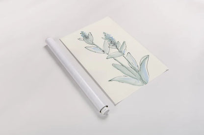 Lambs Ear Sage IV by Chris Paschke. shown as a rolled paper print. Available as archival giclee rolled canvas, fine art paper, or poster print. SKU 55070h.