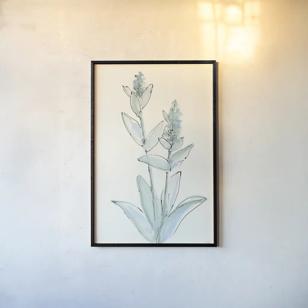 Lambs Ear Sage IV by Chris Paschke. shown as a paper print in a black flame. Available as a archival giclee rolled canvas, fine art paper, or poster print. SKU 55070h.