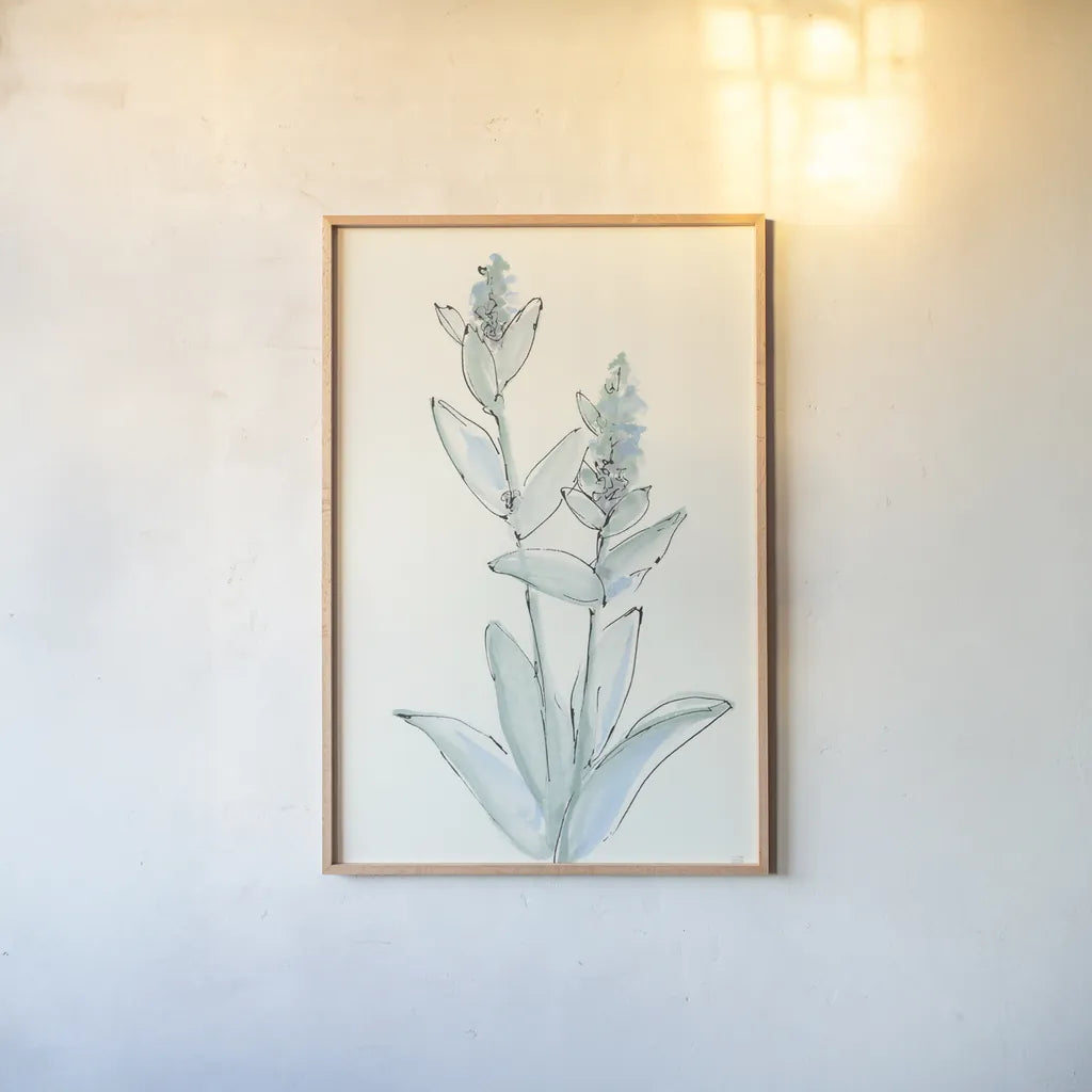 Lambs Ear Sage IV by Chris Paschke. shown as a paper print in a natural frame. Available as a archival giclee rolled canvas, fine art paper, or poster print. SKU 55070h.