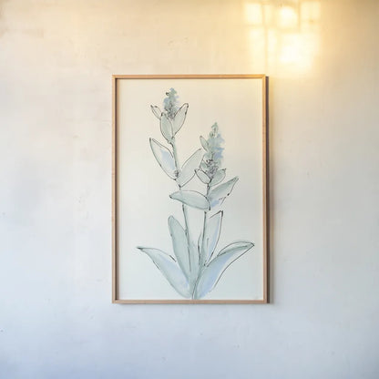 Lambs Ear Sage IV by Chris Paschke. shown as a paper print in a natural frame. Available as a archival giclee rolled canvas, fine art paper, or poster print. SKU 55070h.