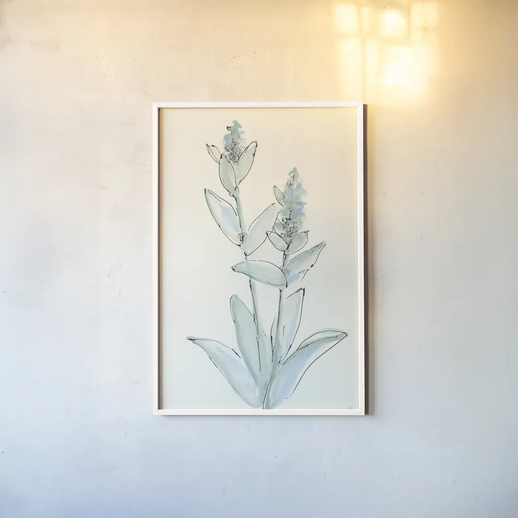Lambs Ear Sage IV by Chris Paschke. shown as a paper print in a white frame. Available as a archival giclee rolled canvas, fine art paper, or poster print. SKU 55070h.