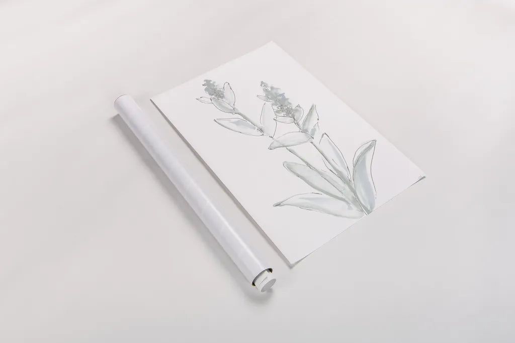 Lambs Ear Sage IV Bleached by Chris Paschke. shown as a rolled paper print. Available as archival giclee rolled canvas, fine art paper, or poster print. SKU 60295h.