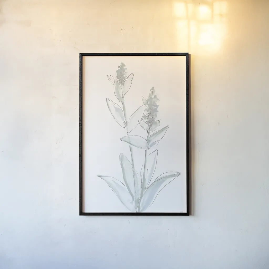 Lambs Ear Sage IV Bleached by Chris Paschke. shown as a paper print in a black flame. Available as a archival giclee rolled canvas, fine art paper, or poster print. SKU 60295h.