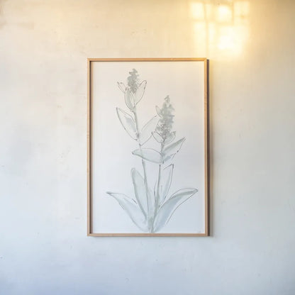 Lambs Ear Sage IV Bleached by Chris Paschke. shown as a paper print in a natural frame. Available as a archival giclee rolled canvas, fine art paper, or poster print. SKU 60295h.