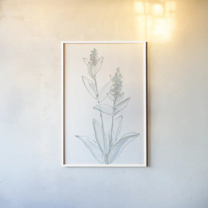 Lambs Ear Sage IV Bleached by Chris Paschke. shown as a paper print in a white frame. Available as a archival giclee rolled canvas, fine art paper, or poster print. SKU 60295h.