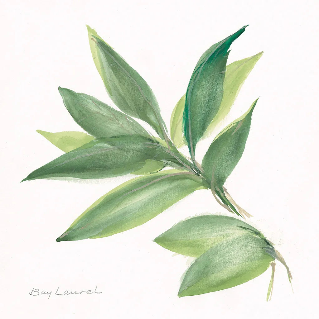 Laurel Bay by Chris Paschke. SKU 27519a. Archival Giclee Fine art print for wall decor.