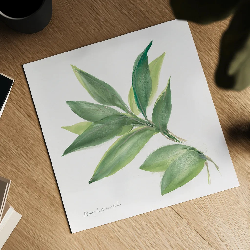 Laurel Bay by Chris Paschke. Shown as a detailed flat fine art print, highlighting archival giclee quality. Available as an archival giclee rolled canvas, fine art paper, or poster print. SKU 27519a.