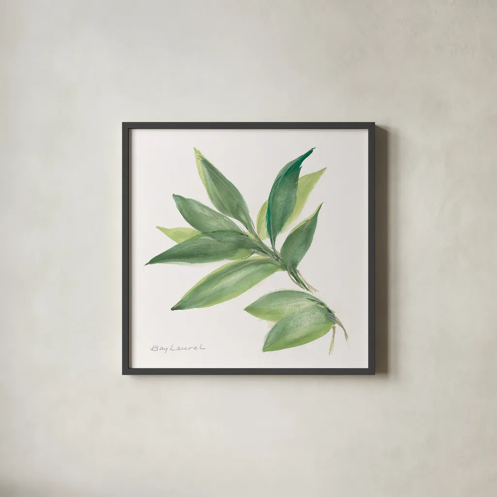 Laurel Bay by Chris Paschke. Shown in a sleek black glass frame for a contemporary gallery look. Available as an archival giclee rolled canvas, fine art paper, or poster print. SKU 27519a.