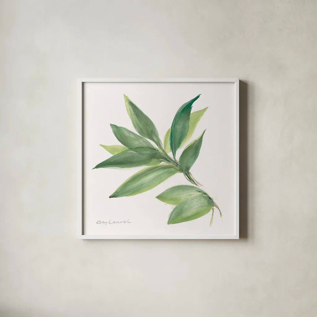 Laurel Bay by Chris Paschke. Shown in a crisp white glass frame for a clean and minimalist style. Available as an archival giclee rolled canvas, fine art paper, or poster print. SKU 27519a.