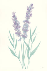 Lavender I by Chris Paschke. SKU 55075h. Archival Giclee Fine art print for wall decor.