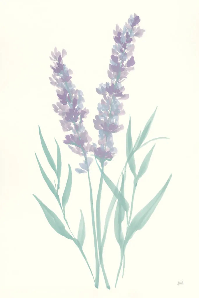 Lavender I by Chris Paschke. SKU 55075h. Archival Giclee Fine art print for wall decor.