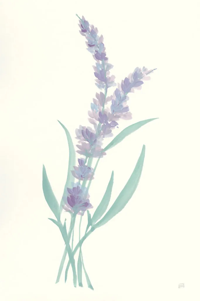 Lavender II by Chris Paschke. SKU 55076h. Archival Giclee Fine art print for wall decor.